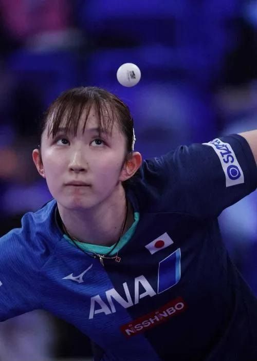 明显占据了 明显占据了