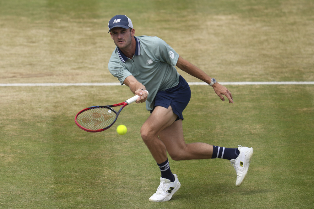 野和机会 野和机会