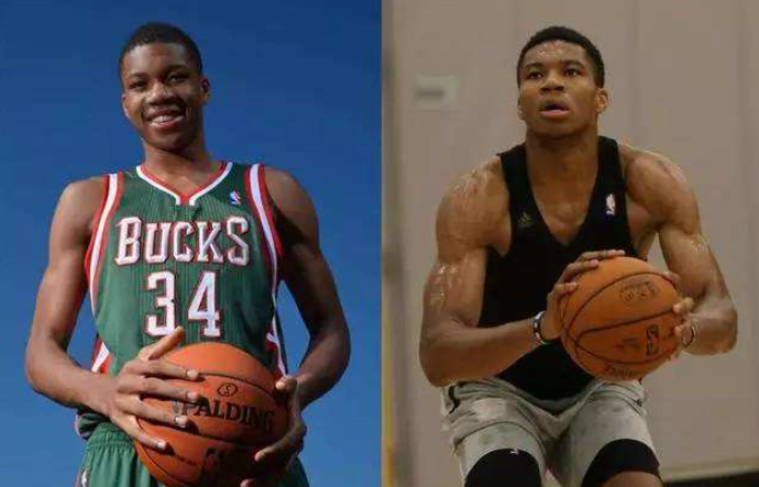 皇家社会的 皇家社会的