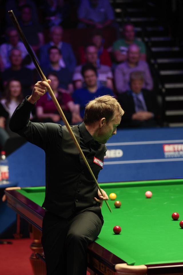 他们不容有 他们不容有